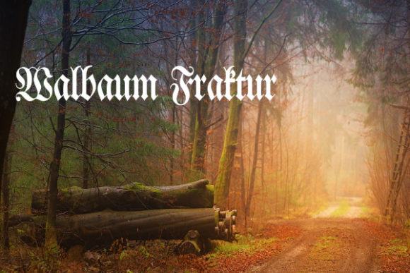 Walbaum Fraktur: A Typeface That Elevates Campaigns with Royal Flair